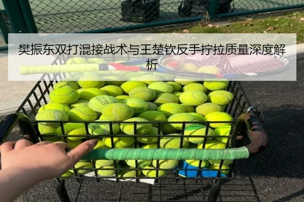 fan-zhen-dong-shuang-da-hun-jie-zhan-shu-yu-wang-chu-qin-fan-shou-ning-la-zhi-liang-shen-du-jie-xi-2-847.jpg
