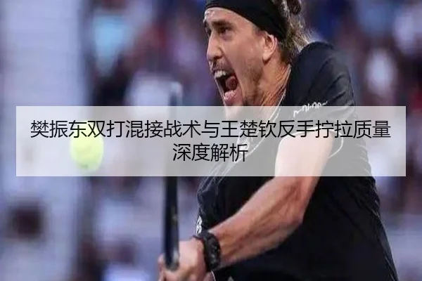 樊振东双打混接战术与王楚钦反手拧拉质量深度解析