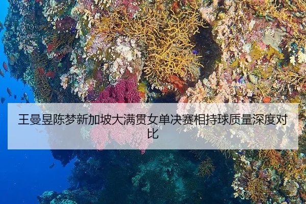 wang-man-yu-chen-meng-xin-jia-po-da-man-guan-nv-dan-jue-sai-xiang-chi-qiu-zhi-liang-shen-du-dui-bi-2-846.jpg