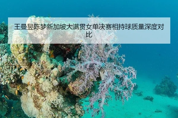 王曼昱陈梦新加坡大满贯女单决赛相持球质量深度对比