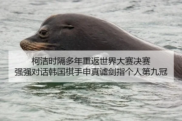 柯洁时隔多年重返世界大赛决赛 强强对话韩国棋手申真谑剑指个人第九冠