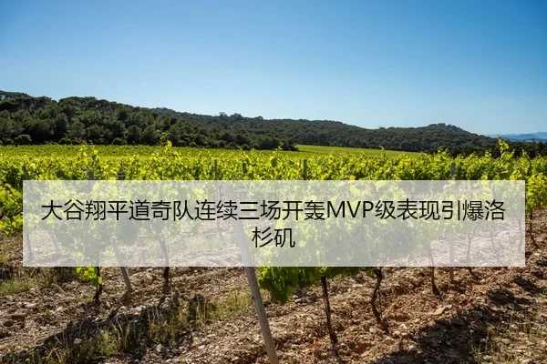 da-gu-xiang-ping-dao-qi-dui-lian-xu-san-chang-kai-hong-ji-biao-xian-yin-bao-luo-shan-ji-2-379.jpg